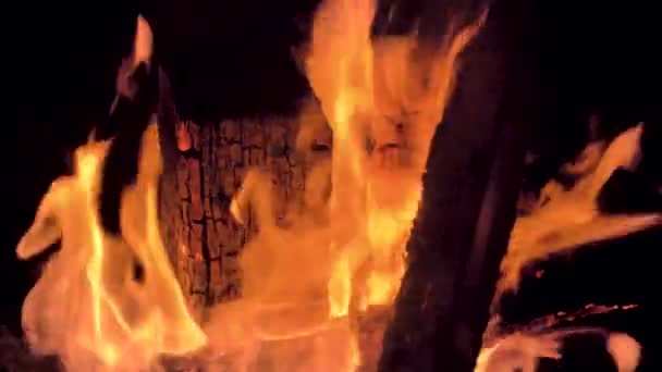 Api Membakar Dengan Api Oranye Terang Dan Asap Cahaya Footage — Stok Video