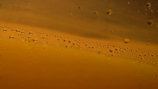 Close View Cold Glass Golden Beer Condensation Cold Glass Bubbles — Stock Video