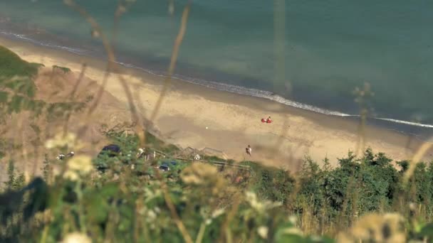 Tall Grass Blows Gentle Breeze Hilltop Overlooking Beach Ocean Vacationers — Wideo stockowe