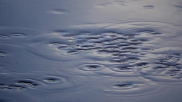 Water Ripples Waves Catching Sunlight Slow Motion — Video Stock