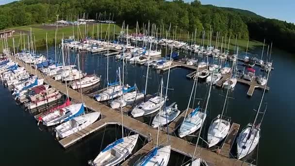 Aerial Footage Sailboat Marina — Stok video