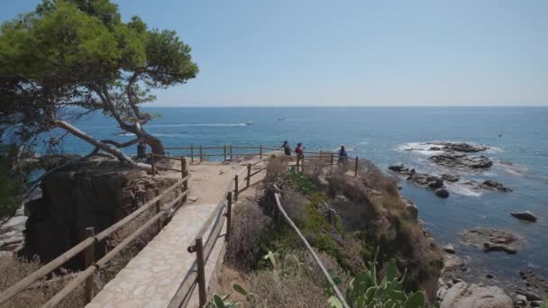 Spiaggia Blu Con Alberi Mediterranei Vista Punto Vista — Video Stock