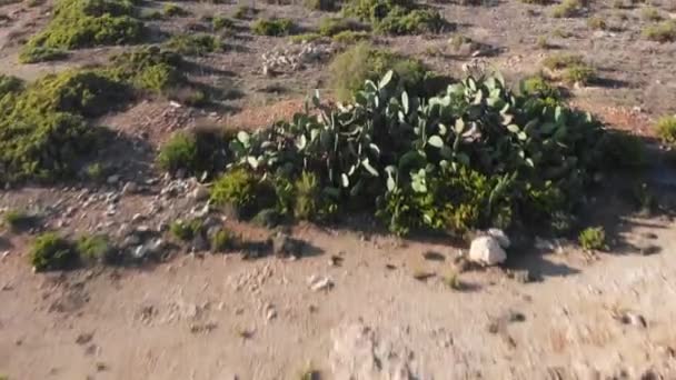 Aerial Drone Video Malta Mellieha Surroundings — Stockvideo