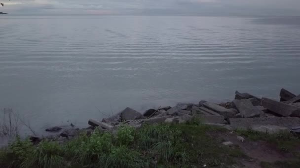 Revelar Disparo Del Lago Los Árboles — Vídeo de stock