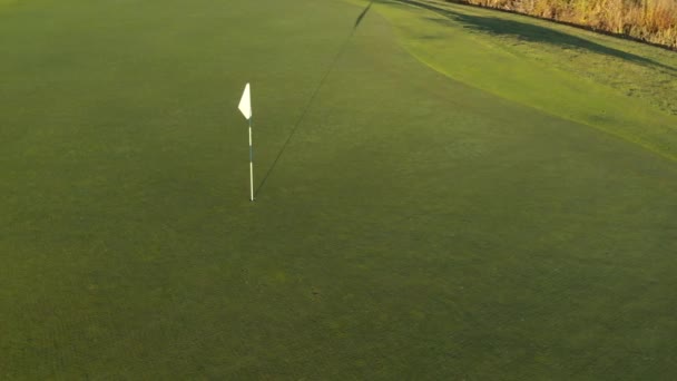 Flytta Sidled Längs Grön Golfbana Titta Vit Flagga — Stockvideo