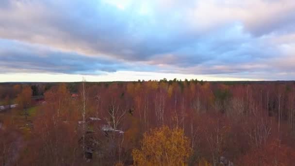 Luchtfoto Boven Kleurrijke Herfstbomen Een Bewolkte Herfstdag Het Platteland Van — Stockvideo