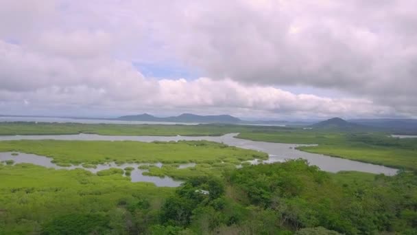 Drone Taking Flight Showing Beautiful Nature View Morass Boca Chica — 비디오