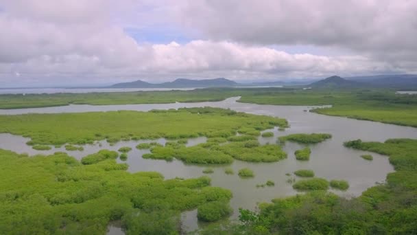 Drone Flying Morass Boca Chica Panama Beautiful Nature View — Wideo stockowe
