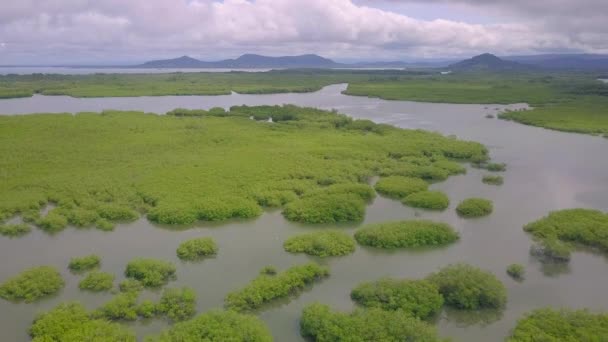 Drone Shot Beautiful Morass Boca Chica Panama Mouvement Lent — Video