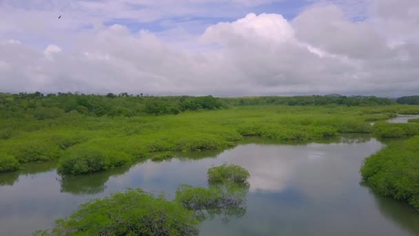 Schöne Landschaft Der Natur Umwelt Boca Chica Panama Zeitlupe — Stockvideo