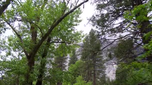 Caminando Por Valle Yosemite Durante Día — Vídeo de stock