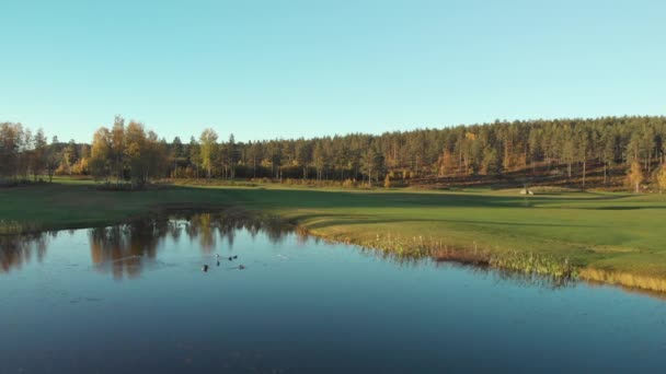 飞过一个平静的小湖面 旁边是一个美丽的绿色高尔夫球场 — 图库视频影像