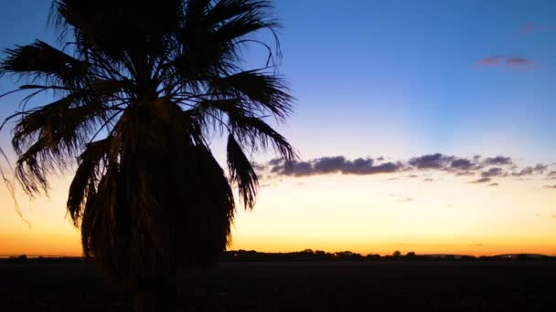 Красивый Закат Южном Техасе — стоковое видео