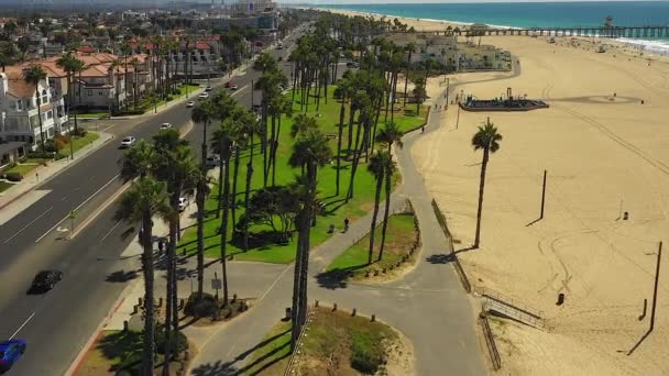 Imágenes Aviones Tripulados Volando Sobre Personas Montando Bicicletas Parque Palmeras — Vídeo de stock