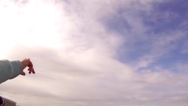 Espectador Apunta Como Jet Dardos Través Del Cielo — Vídeo de stock