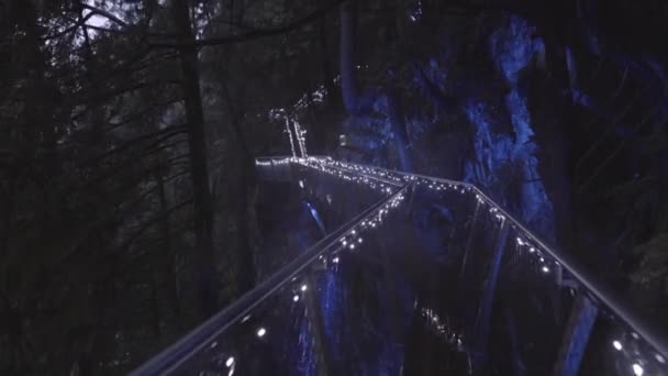 Прогулка Тропинке Украшенной Рождественскими Огнями Парке Райная Ночь — стоковое видео