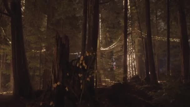 Treetops Park Decorated Warm Christmas Lights — стоковое видео