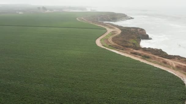 Aerial View Farm Coast High Way Northern California — Wideo stockowe