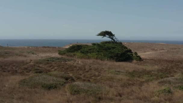 Aerial Video Coast Northern California Bodega Bay — Videoclip de stoc