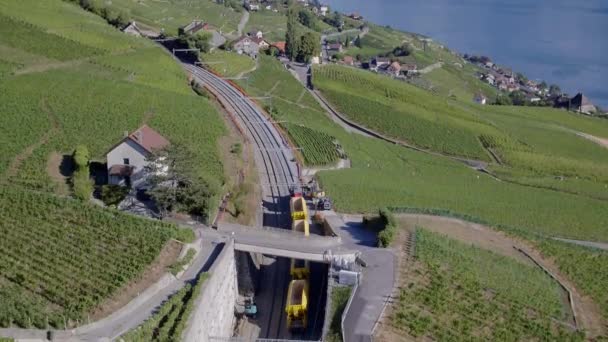 Aerial Work Train Lavaux Vineyard Switzerland Summer Colors — 图库视频影像