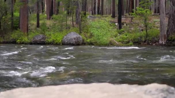 Gün Boyunca Yosemite Vadisi Nde Akan Bir Dere — Stok video