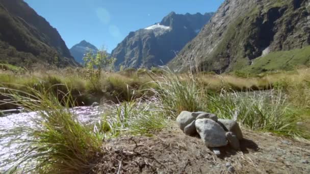 Steady Shot Creek Valley Sorrounded Mountains Background Fiordland Nationalpark New — Vídeo de stock
