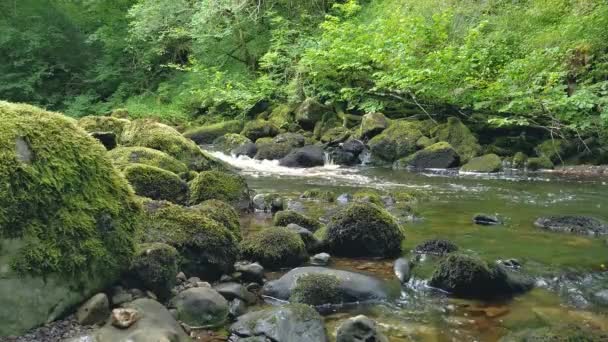 Claddagh River Donegal Ireland Water Flowing Right — Stockvideo