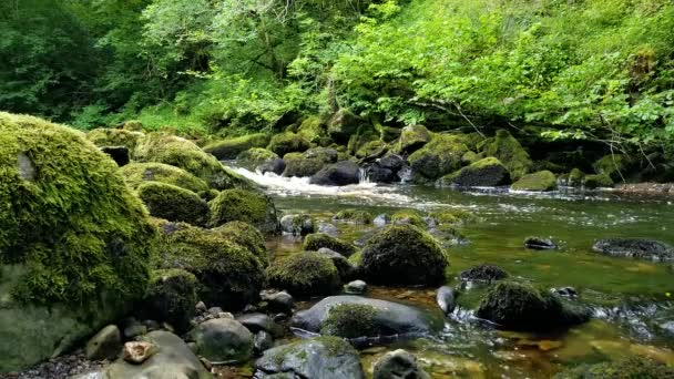 Claddagh River Donegal Ireland Slow Motion Water Flowing Right — Vídeo de Stock