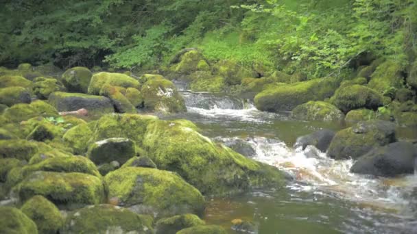 Claddagh River Donegal Ireland Slow Motion Water Flowing Camera Right — Vídeo de Stock