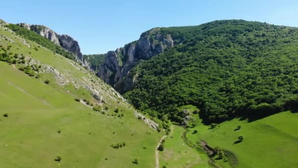 Wide Aerial View Landscape Surrounding Turda Gorge Scenic River Valley — Video