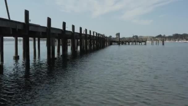 Aerial Video Old Abandoned Dock Birds Flying Northern California Bodega — Stockvideo