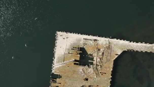 Aerial Video Old Abandoned Dock Birds Flying Northern California Bodega — 图库视频影像