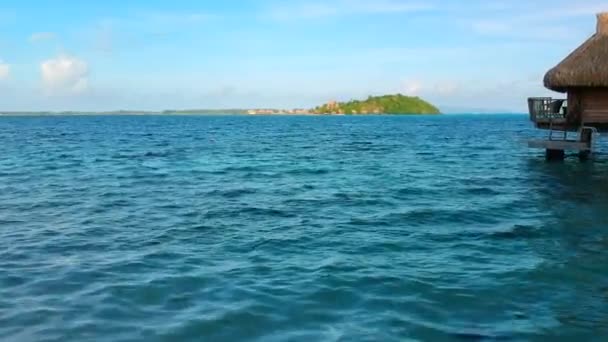 Overwater Dolly Island Overwater Bungalow Pacific Ocean Bora Bora French — Vídeos de Stock