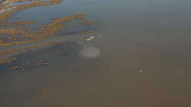 Aerial Video Delta Water Northern California — Vídeo de Stock