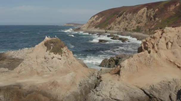 Aerial Video Coast Northern California Bodega Bay — Video Stock