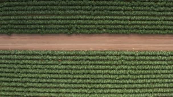 Αεροφωτογραφία Της Φάρμας Στα Ανοικτά Των Ακτών Του High Way — Αρχείο Βίντεο