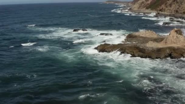 Aerial Video Coast Northern California Bodega Bay — Stock video