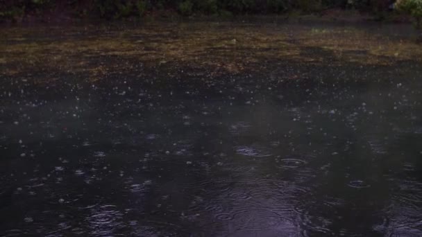 Ein Zeitlupenbild Von Regentropfen Die Auf Einen Fluss Treffen Verlangsamung — Stockvideo