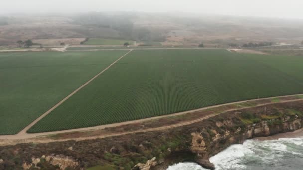 Aerial View Farm Coast High Way Northern California — Wideo stockowe