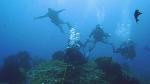 有些潜水员在海流中感到冷 他们的暗礁钩挂在海底 — 图库视频影像