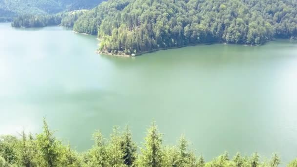 Aerial Drone Shot Trees Foreground Punching Revealing Tree Covered Mountains — Video