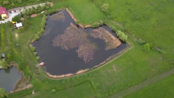 Medium Aerial Shot Fishing Pond Sorrounded Green Meadows House Red — Stockvideo