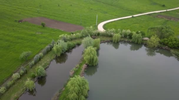 Fly Anglo Pond Fishing Area While Slowly Tilt Lake Transylvania — Stockvideo