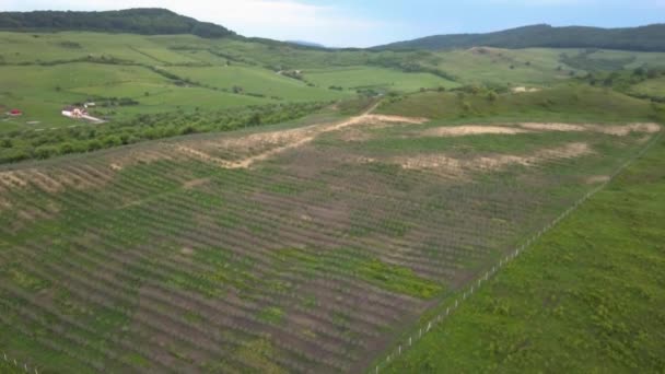 Aerial View Farming Fields Sorrounded Green Hills Mountains Background Transylvania — Vídeos de Stock