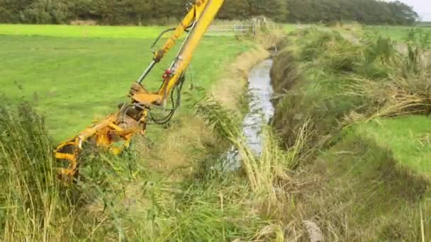 Nettoyage Annuel Fossé Agricole Pour Assurer Bon Drainage — Video