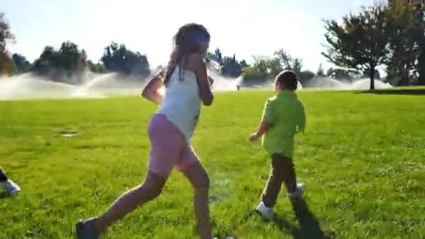 スプリンクラーでいっぱいの都市公園で遊ぶ子供たち — ストック動画