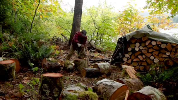 Chopping Firewood Rainforest Axe — Video
