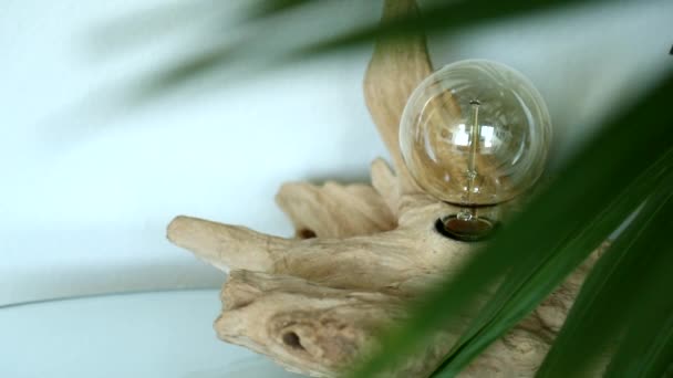 Hand Crafted Light Bulb Reclaimed Wood Seen Palm Leaves Modern — ストック動画
