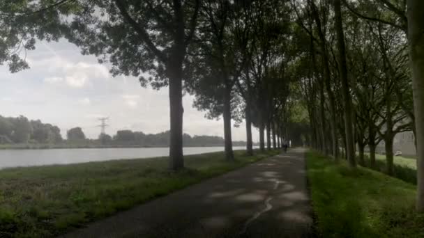 Woman Cycling Road Typical Dutch Village Countryside Bicycle Lane Road — Stok video