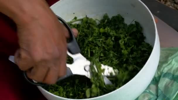 Chef Cutting Dicing Coriander Bowl Close — Stockvideo